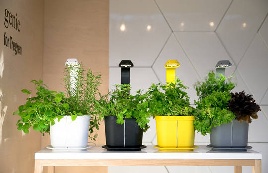 Tregren Genie hydroponic indoor garden extra colors