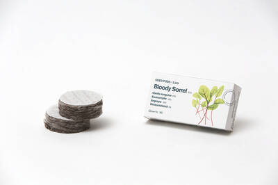 Tregren Herbie and Genie seed pods bloody sorrel