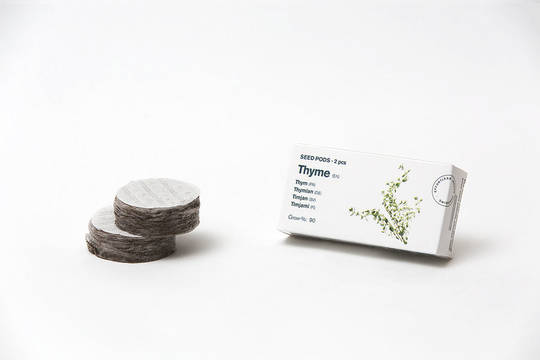 Tregren Herbie and Genie seed pods thyme