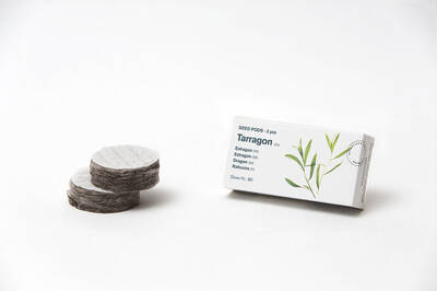 Tregren Herbie and Genie seed pods tarragon
