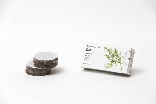 Tregren Herbie and Genie seed pods dill