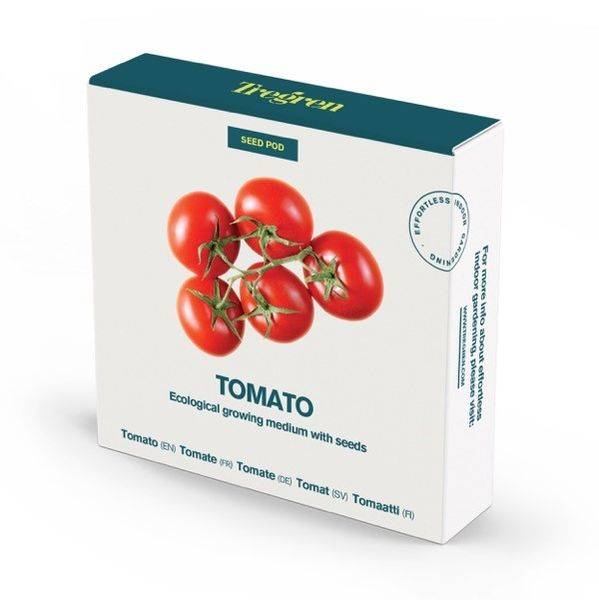Tregren Herbie and Genie seed pods tomato