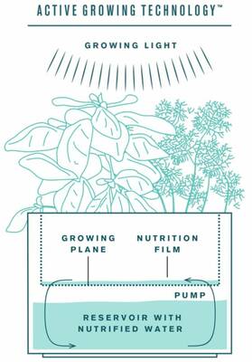 Tregren Herbie hydroponic indoor garden diagram