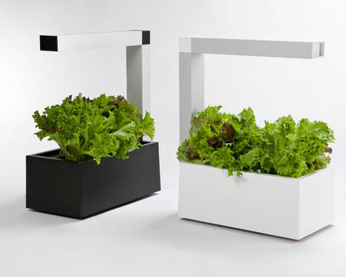 Tregren Herbie hydroponic indoor garden black and white