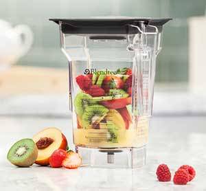 blendtec four side jar blender