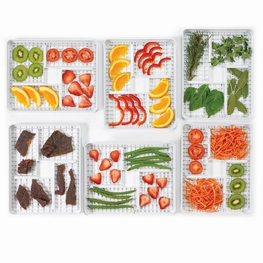 BirdsEyeFoodTrays_propped
