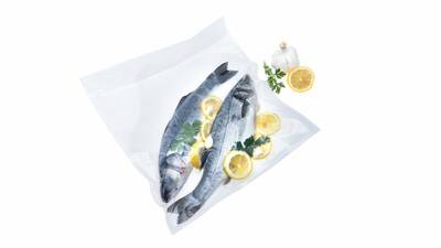 Status commercial vacuum sealer with fish
